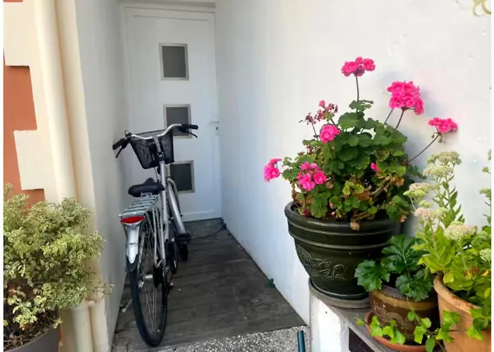 Charmante Maison-chalet, Velos Et Jacuzzi Dom wakacyjny